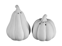 GOURD SALT & PEPPER