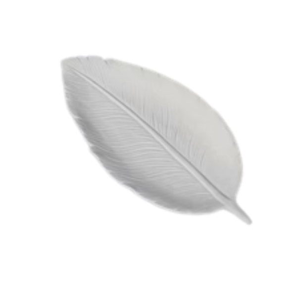 LARGE FEATHER DISH