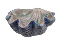 GIANT CLAM SHELL DISH