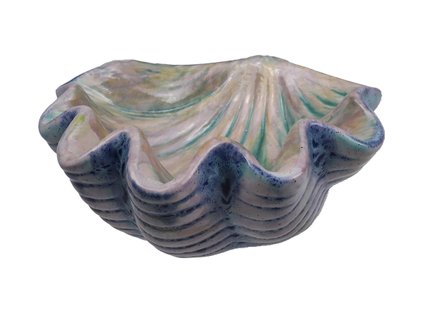 GIANT CLAM SHELL DISH