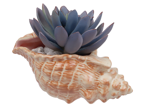 CONCH SHELL PLANTER