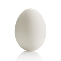 LARGE EGG