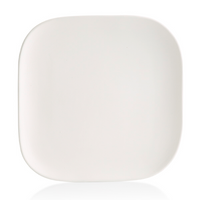 SQUIRCLE CHARGER PLATTER