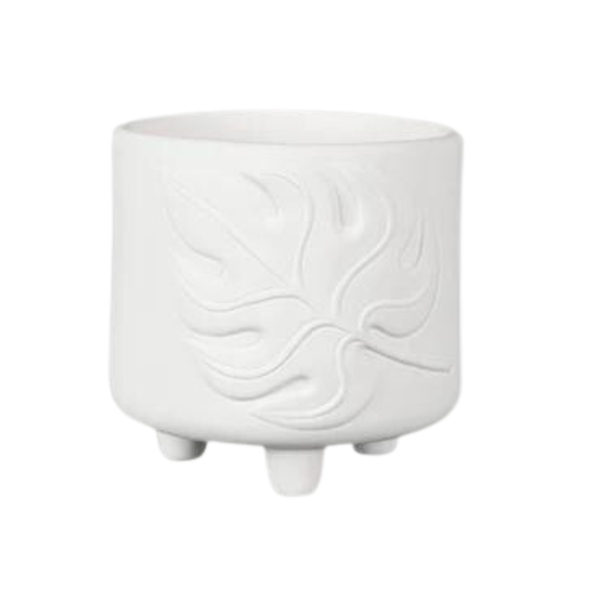 MONSTERA FOOTED CONTAINER