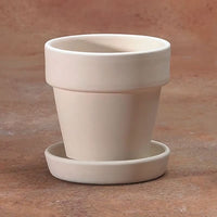 SM. FLOWER POT W/ SAUCER